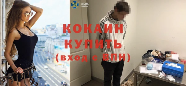 амф Бородино