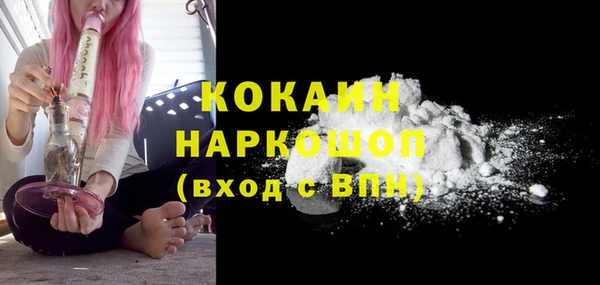 амф Бородино