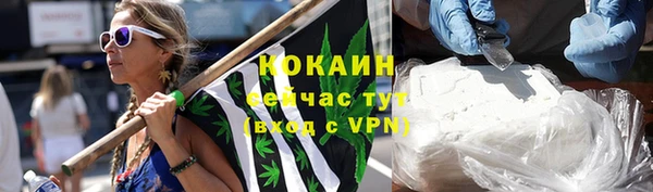 амф Бородино