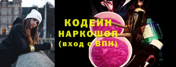 амф Бородино
