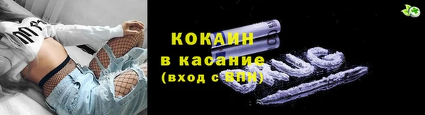 амф Бородино