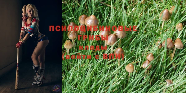 гашишное масло Бронницы