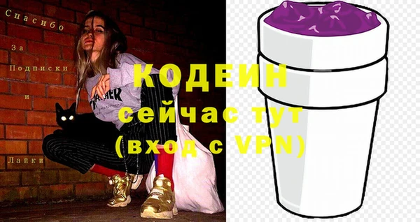 амф Бородино