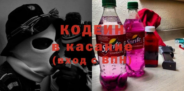 амф Бородино