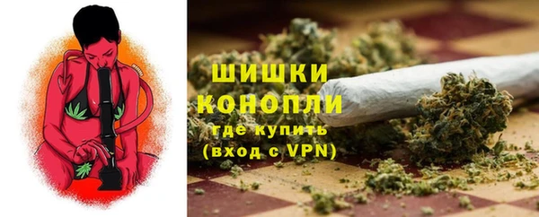 амф Бородино